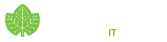 Cybervine IT Solutions Logo