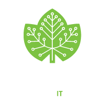 Cybervine IT Solutions